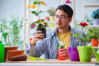 Çiçekçide çalışan genç bir adam.