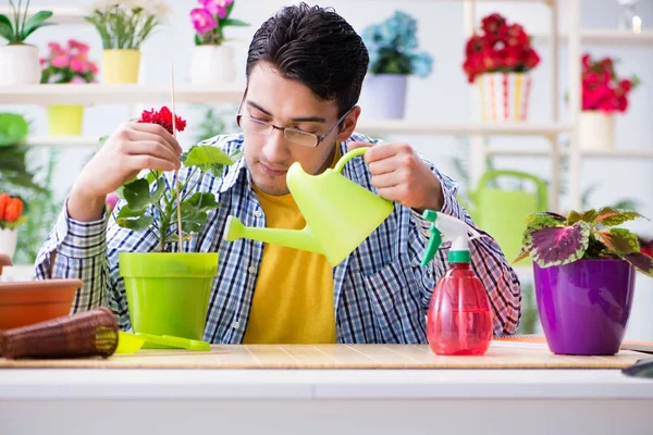 Bahçıvan çiçekçide çalışıyor. Çiçekçide çalışıyor.