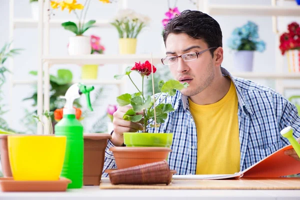 Bahçıvan çiçekçide çalışıyor. Çiçekçide çalışıyor.