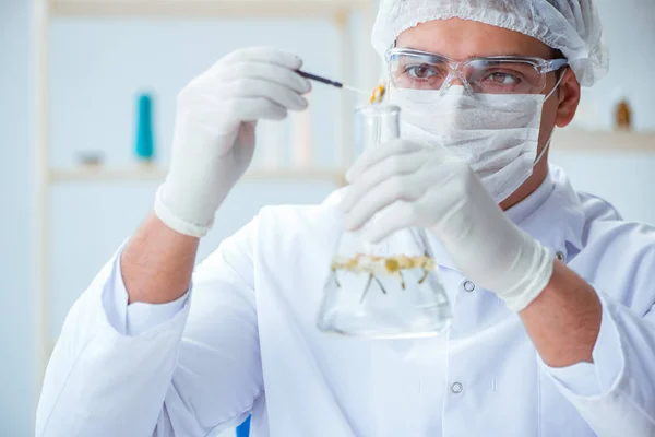 Químico mezclando perfumes en el laboratorio — Foto de Stock