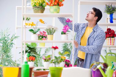 Bahçıvan çiçekçide çalışıyor. Çiçekçide çalışıyor.