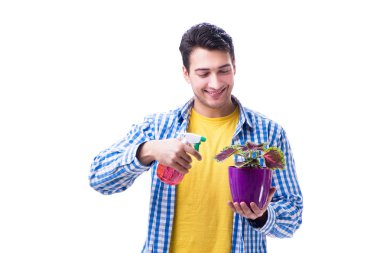 Bahçıvan çiçekçi, saksıda çiçekli, beyaz bir sırt deliğinde.