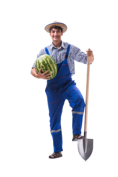 Joven agricultor con sandía aislada sobre blanco —  Fotos de Stock