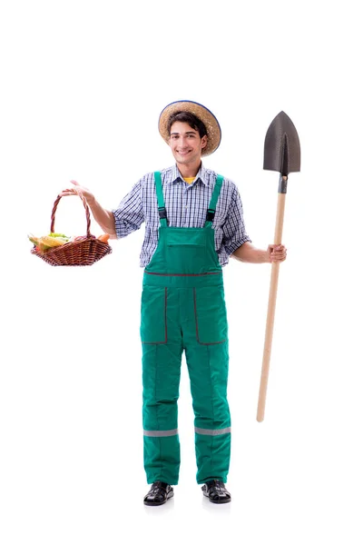 Joven agricultor aislado sobre el fondo blanco —  Fotos de Stock