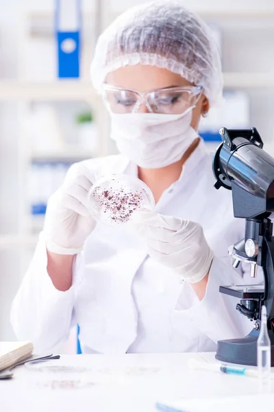 Pesquisadora cientista conduzindo uma experiência em um labora — Fotografia de Stock