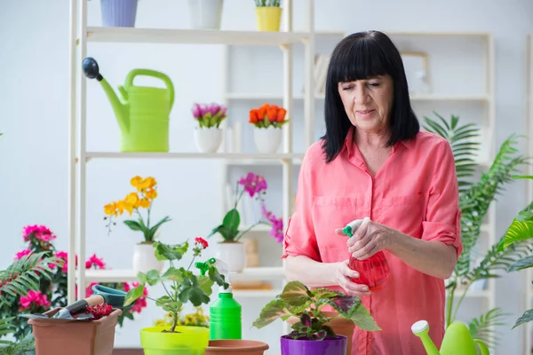 Donna fiorista che lavora nel negozio di fiori — Foto Stock