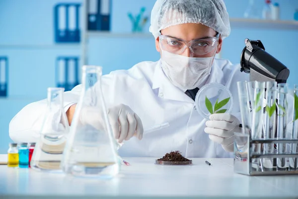 Erkek bilim adamı bir laboratuarda deney yapıyor.