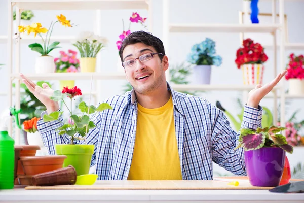 Bahçıvan çiçekçide çalışıyor. Çiçekçide çalışıyor.