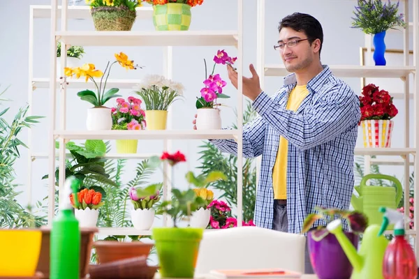 Bahçıvan çiçekçide çalışıyor. Çiçekçide çalışıyor.