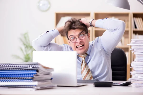 Grappige boekhouder die op kantoor werkt — Stockfoto