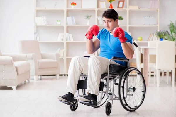 Zdravotně postižený boxer na invalidním vozíku zotavuje ze zranění — Stock fotografie