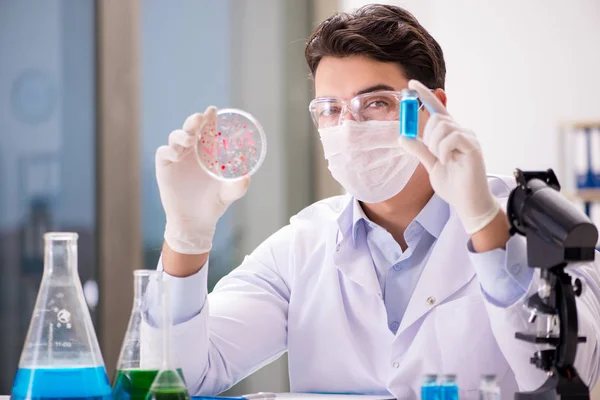 Manlig läkare som arbetar i labbet med virusvaccin — Stockfoto