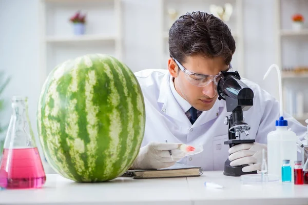 Científico probando sandía en laboratorio — Foto de Stock