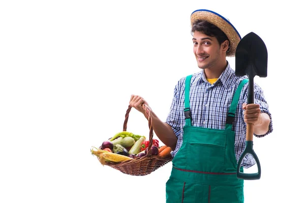 Young farmer isolated on the white background — Stock Photo, Image