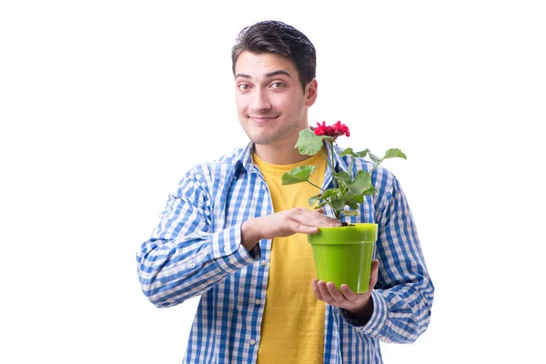 Florista jardinero con una flor en una maceta aislada sobre fondo blanco — Foto de Stock