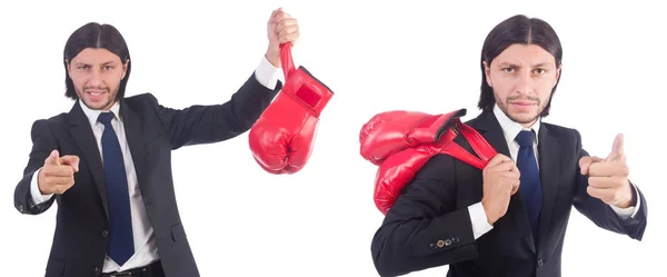 Empresario con guantes de boxeo en blanco — Stockfoto