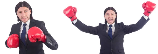 Empresario con guantes de boxeo en blanco — Stockfoto