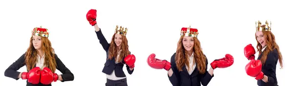 Koningin bokser zakenvrouw geïsoleerd op wit — Stockfoto