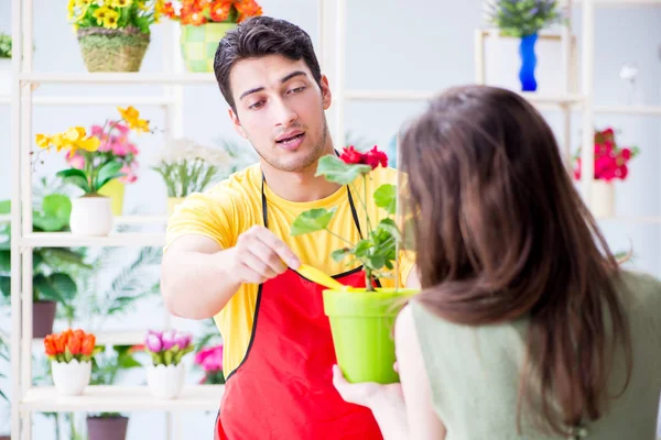 Çiçekçi dükkanında çiçek satıyor.
