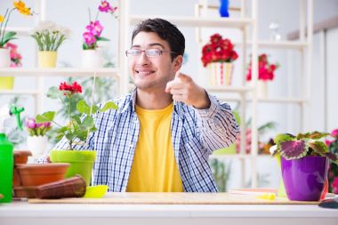 Bahçıvan çiçekçide çalışıyor. Çiçekçide çalışıyor.