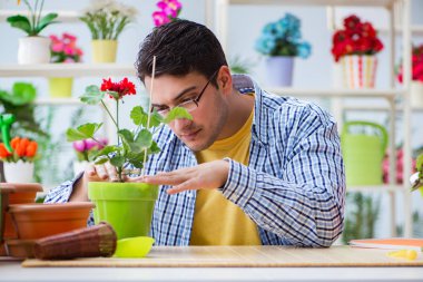 Çiçekçide çalışan genç bir adam.