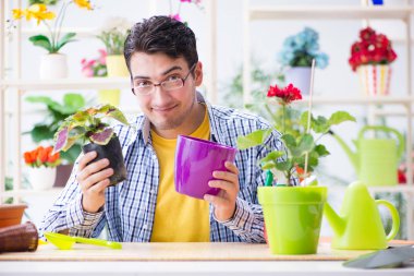 Bahçıvan çiçekçide çalışıyor. Çiçekçide çalışıyor.