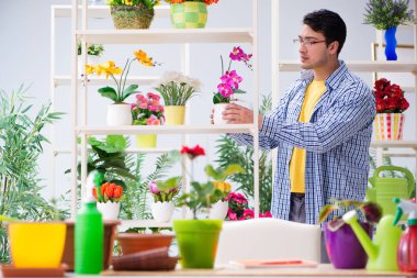 Bahçıvan çiçekçide çalışıyor. Çiçekçide çalışıyor.