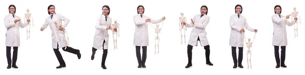 İskeleti beyaz olan komik öğretmen. — Stok fotoğraf