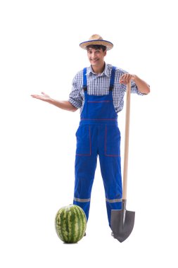 Beyaz izole karpuz ile genç çiftçi