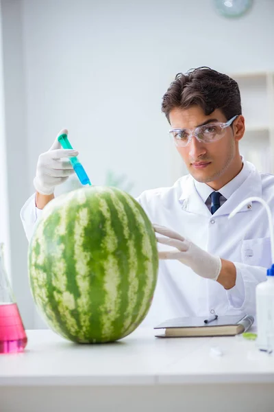 Naukowiec badający arbuza w laboratorium — Zdjęcie stockowe