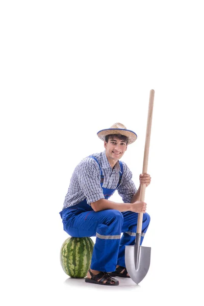 Joven agricultor con sandía aislada sobre blanco — Foto de Stock