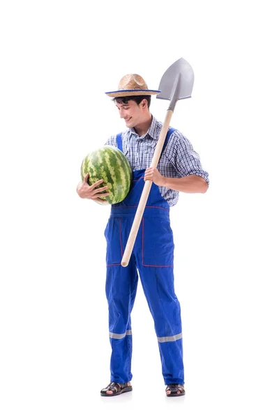 Młody rolnik z arbuza na białym tle — Zdjęcie stockowe