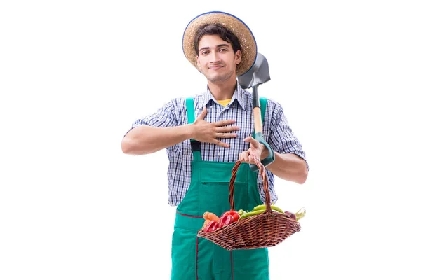 Jonge boer geïsoleerd op de witte achtergrond — Stockfoto