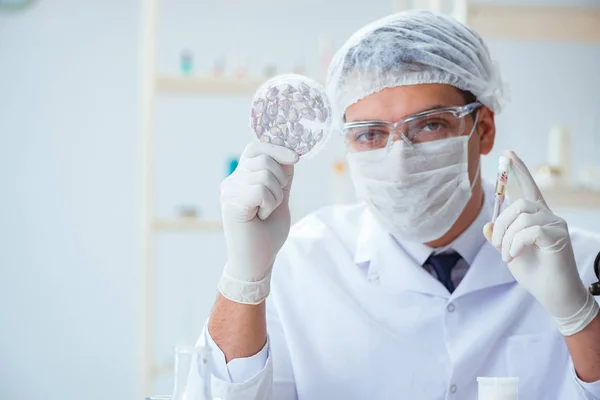 Chemist mixing perfumes in the lab