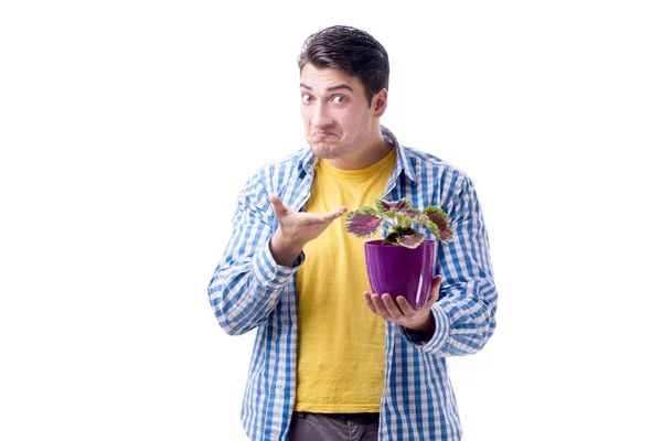 Fiorista giardiniere con un fiore in un vaso isolato su dorso bianco — Foto Stock