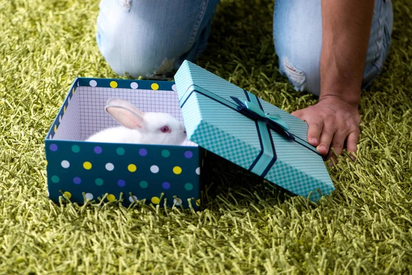 Young man getting rabbit as birthday present — Stock Photo, Image