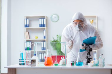 Bilim adamı, laboratuvarda tavşanla hayvan deneyi yapıyor.