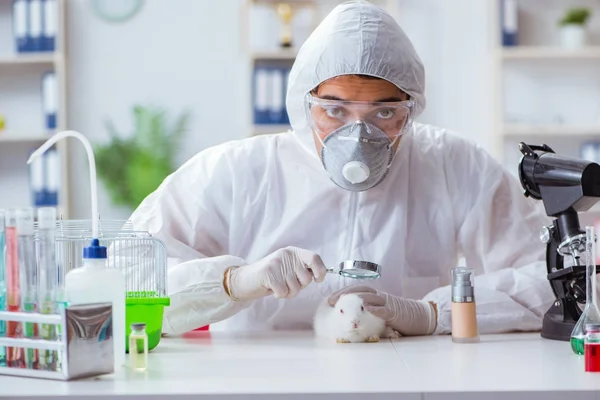 Wetenschapper doet dierproeven in lab met konijn — Stockfoto