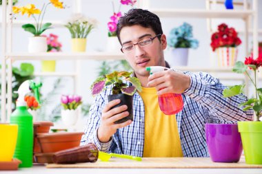 Bahçıvan çiçekçide çalışıyor. Çiçekçide çalışıyor.