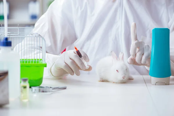 Білий кролик в науково лабораторному експерименті — стокове фото