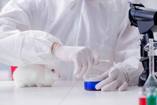 White rabbit in scientific lab experiment