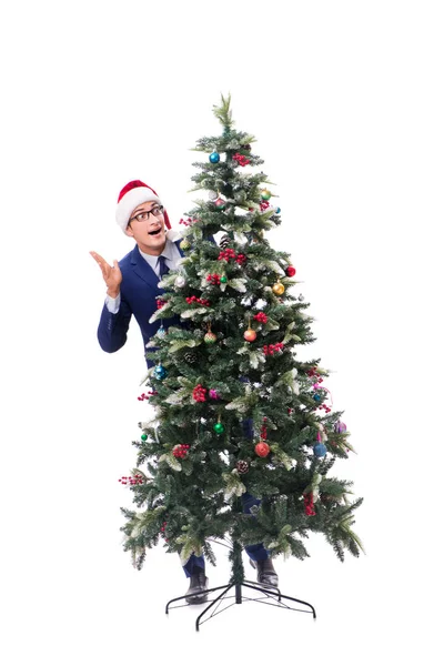 Empresario decorando árbol de navidad aislado en blanco —  Fotos de Stock