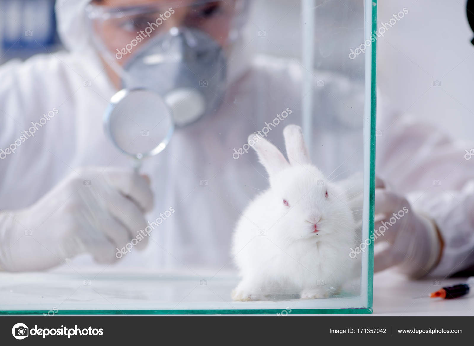 Вибратор-кролик c вращающимися шариками Rabbit Essentials, фиолетовый RR-003-PUR - Rabbit Essentials - Вибраторы-кролики - Купить