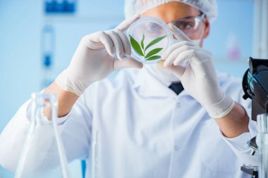 Laboratuvarda bilim adamıyla biyoteknoloji kavramı