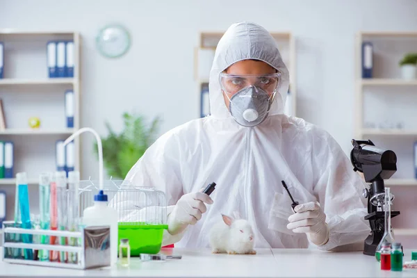 Científico haciendo experimentos con animales en laboratorio con conejo —  Fotos de Stock