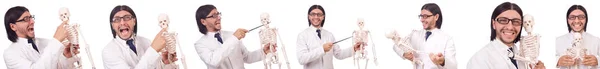 Забавна вчителька зі скелетом ізольована на білому — стокове фото