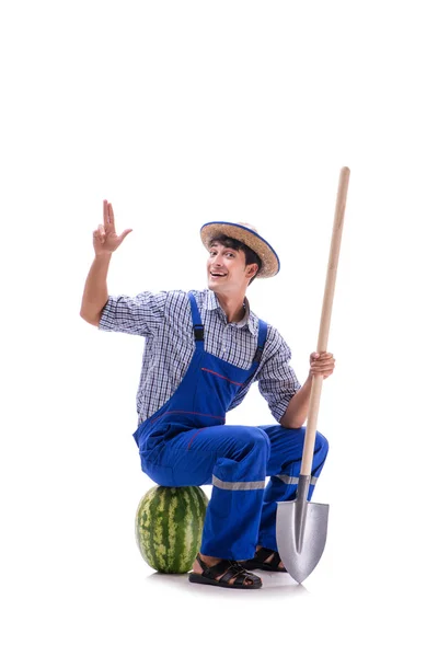 Joven agricultor con sandía aislada sobre blanco —  Fotos de Stock