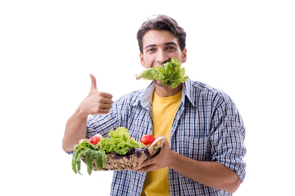Muž s košíkem ovoce a zeleniny — Stock fotografie