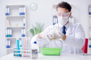 Hayvan hastanesinde tavşanı muayene eden veteriner.
