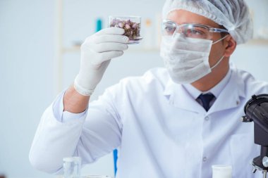 Laboratuvarda parfüm karıştıran bir kimyager.